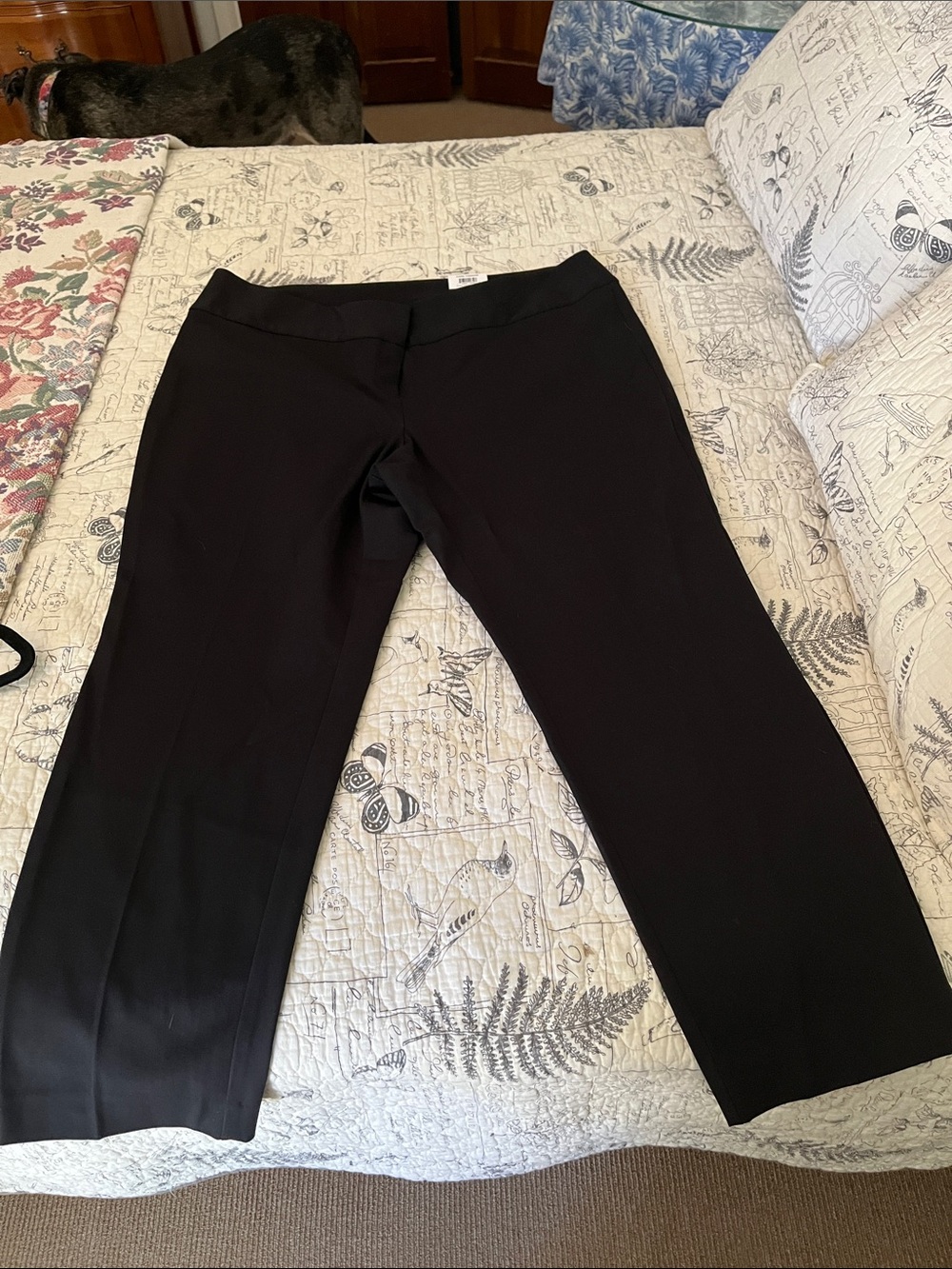 Alfani Black Dress Pants - Women's Ankle-Length Tummy Control, Slim